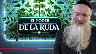 Descubre el Poder de la Ruda