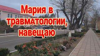 Мария в травматологии, навещаю в ЦРБ. Ремонт курятника. Работа Олега. Поболтушки, вспомним старое...