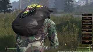 REDBEAR|PVE|CHERNORUSPLUS, обзор  #REDBEARPVE #DayZ ч.1