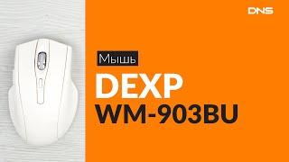 Распаковка мыши DEXP WM-903BU / Unboxing DEXP WM-903BU