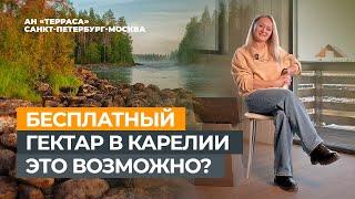 Как получить земельный участок в Карелии бесплатно! #карелия #участокбесплатно #гектар