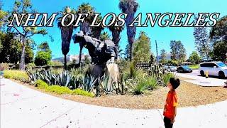 Inside the Stunning Natural History Museum of Los Angeles 4K