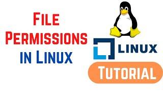 Linux Command Line Basics Tutorials - File Permissions in Linux. How to Read, Write & Change