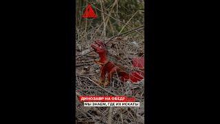 Динозавр на обед? Мы знаем, где их искать! #smacustom #охота
