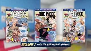 Collection One Piece Log de Hachette Collections