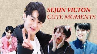 VICTON SEJUN cute/funny moments