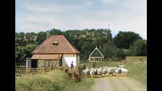 Texel, De Parel Der Waddenzee in 1943 in kleur! The beautiful Dutch island of Texel in 1943 in color