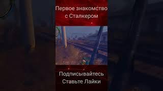 Знакомство с Сталкером #Short #Stalker #Gameplay