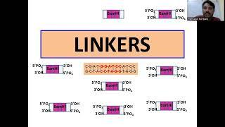 Linkers: Joining molecules, Cloning of Blunt DNA Fragments/ cDNA molecules