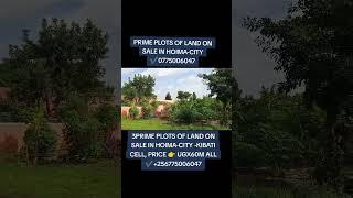 KIBATI CELL, HOIMA-CITY,PLOTS SALE AT UGX60M,0775006047