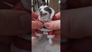 Perro de gua de plastilina #perrito #perrodeagua #puppy