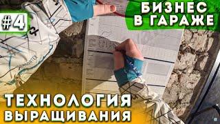 #4 Выращивание Шампиньонов | Дез.  Коврик | Бизнес В Гараже