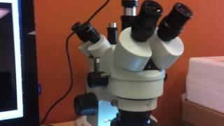 Microscope Expert - Opening Trinocular Port on Stereo Microscope for Microscope Camera