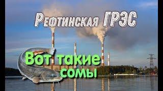 Рефтинская ГРЭС.Reftinskaya GRES.Reftinsky.Рыбалка.Ловля сома.Asbestos 2020 год #Enel@MineralAs