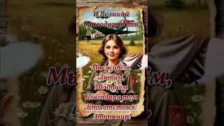 17 мая 2025 г.
