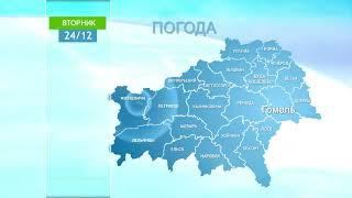 Погода в Гомеле и Гомельской области 24 декабря