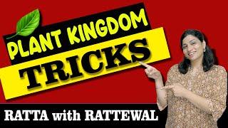 PLANT KINGDOM : Super Easy Tricks || Part 1 || Ritu Rattewal