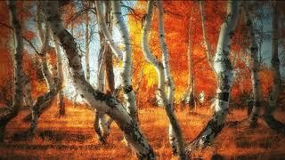 Merab Amzoevi &  MIRAVI - Voices of birches