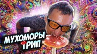 Мухоморы трип