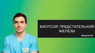 Биопсия предстательной железы