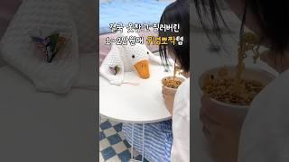 결국 못참고 질러버린 1~2만원대 귀염뽀짝템 #제품리뷰
