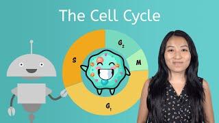 The Cell Cycle - Life Science for Kids!