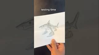 Draw Tralalero Tralala in Real Life