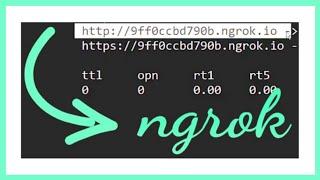 NGROK | Access Your localhost from Anywhere on the Internet