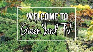 GARDEN TOUR | GREEN YARD TV