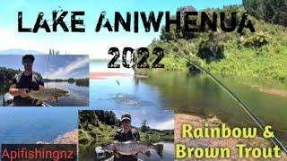 Lake Aniwhenua January 2022