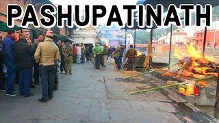 Pashupatinath, Nepal | Where They Cremate the Dead