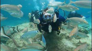 ТУРЦИЯСЕЙЧАС.КЕМЕР.ЕДЕМ на ДАЙВИНГ.ОТЛИЧНАЯ ПОГОДА в МАЕ. WE GO TO DIVING KEMER TURKEY GOOD!