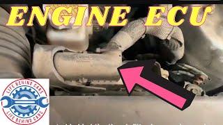 Kia Rio Petrol 2006 ECU Location