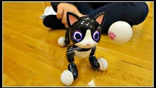 Zoomer Kitty Unboxing and Toy Review