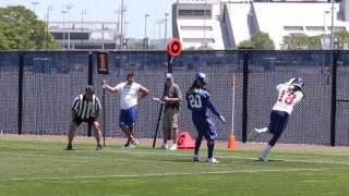 Giants WR Geremy Davis makes sick TD catch