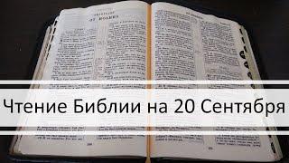 Чтение Библии на 20 Сентября: Псалом 81, Евангелие от Луки 2, Книга Пророка Иеремии 7, 8