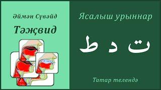 13. Ясалыш урыннары: ТА, ДӘЛ, ТӘ | Әймән Сүвәйд (татарча субтитрлар)