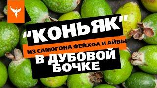 "Коньяк" из самогона фейхоа и айвы в дубовой бочке. Выдержка 1 год. Какой на вкус?