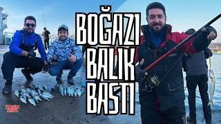 İSTANBUL BOĞAZI'NDA ÇİNEKOP SARIKANAT ŞOV ! | YUNUS FISHING İLE KURŞUN ARKASI #fishing #balikavi