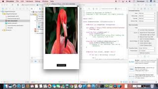 Show Image from Url in iOS Swift