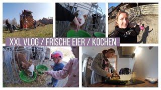 SCHNELLES ESSEN ZAUBERN / BAUERNHOF / DAILY VLOG