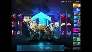 HOLA BUDDY LEOPARD COMPANION | PUBG MOBILE | FBI SIDHU