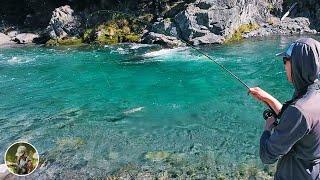 New Zealand Backcountry Fly Fishing | EP.3 | Euro Nymphing for South Island Rainbow Trout!