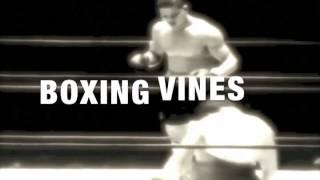 BOXING VINE COMPILATION