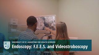 Innovation at USAHS - Endoscopy: F.E.E.S. and Videostroboscopy