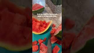 Fruitful rhymes  If it starts with a 4, we don’t want it no more! #fruit #knowyourfood