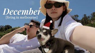 Melbourne Vlog | Dog sitting, December festivities ️, Boxing Day fail