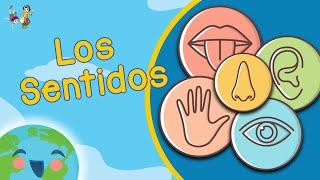 Los Sentidos para Niños (Videos Educativos para Niños)