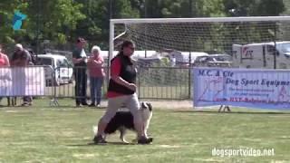 Selection - Carina Mayrhofer + Australis Jefferson Dream / Border Collie