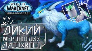 Дикий мерцающий лисохвост [МАУНТ] Valfir the Unrelenting - WoW Shadowlands [КАК ПОЛУЧТЬ?]